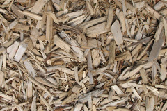 biomass boilers Sandylane
